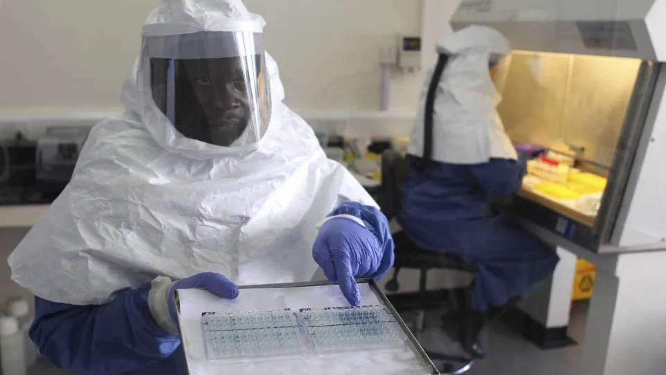 ÉBOLA: RD CONGO ELEVA NÚMERO DE MORTOS PARA 291