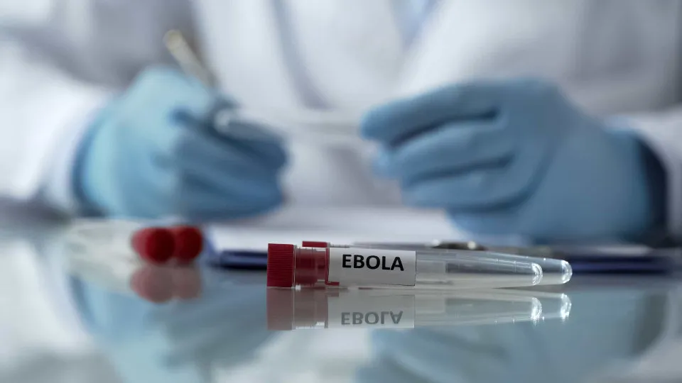 ÉBOLA: ACNUR ALERTA PARA AVANÇO RÁPIDO EM CAMPOS DE DESLOCADOS NA RDCONGO