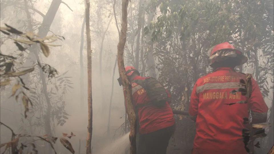 INCÊNDIOS NA INDONÉSIA CAUSAM PROBLEMAS RESPIRATÓRIOS A 170 MIL PESSOAS